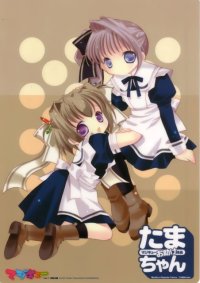 BUY NEW bottle fairies - 190404 Premium Anime Print Poster