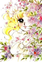 BUY NEW candy candy - 23311 Premium Anime Print Poster
