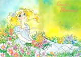 BUY NEW candy candy - 24878 Premium Anime Print Poster