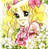 BUY NEW candy candy - 26768 Premium Anime Print Poster