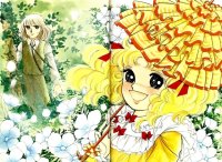BUY NEW candy candy - 26796 Premium Anime Print Poster