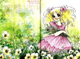 BUY NEW candy candy - 53193 Premium Anime Print Poster