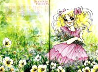 BUY NEW candy candy - 53193 Premium Anime Print Poster