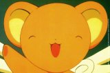 BUY NEW card captor sakura - 135310 Premium Anime Print Poster
