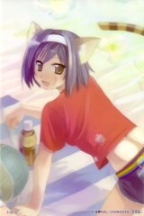 BUY NEW chisato naruse - 159063 Premium Anime Print Poster