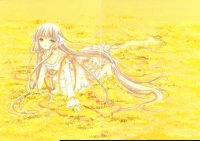 BUY NEW chobits - 191469 Premium Anime Print Poster