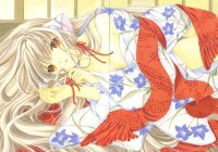 BUY NEW chobits - 191472 Premium Anime Print Poster