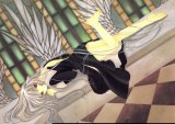 BUY NEW chobits - 192565 Premium Anime Print Poster