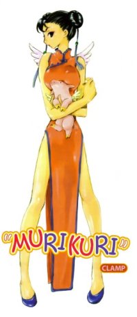 BUY NEW clamp - 131923 Premium Anime Print Poster