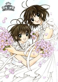 BUY NEW clamp - 169289 Premium Anime Print Poster