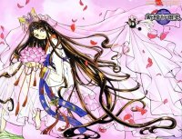 BUY NEW clamp - 26918 Premium Anime Print Poster