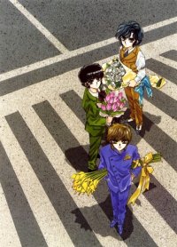 BUY NEW clamp campus detectives - 130903 Premium Anime Print Poster