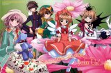BUY NEW clamp in wonderland - 148712 Premium Anime Print Poster