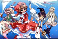 BUY NEW clamp in wonderland - 152517 Premium Anime Print Poster