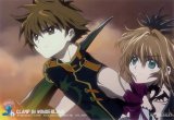 BUY NEW clamp in wonderland - 177810 Premium Anime Print Poster