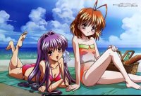 BUY NEW clannad - 137059 Premium Anime Print Poster