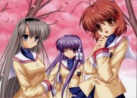 BUY NEW clannad - 156823 Premium Anime Print Poster