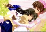 BUY NEW clannad - 162546 Premium Anime Print Poster