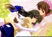 BUY NEW clannad - 162546 Premium Anime Print Poster