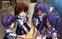 BUY NEW clannad - 174785 Premium Anime Print Poster