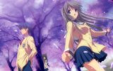BUY NEW clannad - 181800 Premium Anime Print Poster