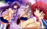 BUY NEW clannad - 187178 Premium Anime Print Poster