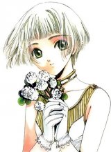 BUY NEW clover - 102514 Premium Anime Print Poster