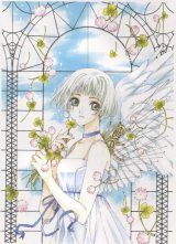 BUY NEW clover - 120377 Premium Anime Print Poster