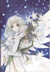 BUY NEW clover - 120436 Premium Anime Print Poster