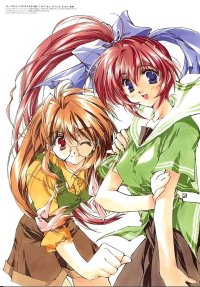 BUY NEW comic party - 101639 Premium Anime Print Poster