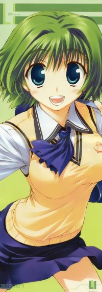 BUY NEW comic party - 109884 Premium Anime Print Poster