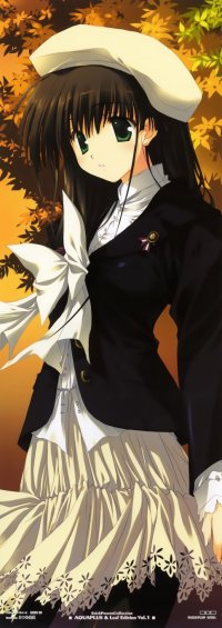 BUY NEW comic party - 118278 Premium Anime Print Poster