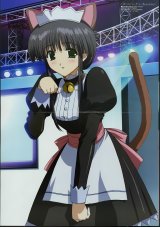 BUY NEW comic party - 13110 Premium Anime Print Poster