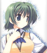 BUY NEW comic party - 133357 Premium Anime Print Poster
