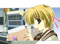 BUY NEW comic party - 77038 Premium Anime Print Poster