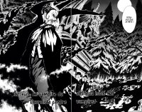 BUY NEW d grayman - 165754 Premium Anime Print Poster