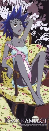 BUY NEW d grayman - 185442 Premium Anime Print Poster
