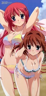 BUY NEW da capo - 165308 Premium Anime Print Poster