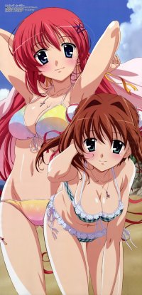BUY NEW da capo - 165308 Premium Anime Print Poster