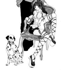 BUY NEW dazzle - 167227 Premium Anime Print Poster