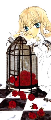 BUY NEW dazzle - 168459 Premium Anime Print Poster