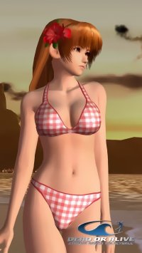 BUY NEW dead or alive - 31812 Premium Anime Print Poster