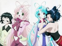 BUY NEW dears - 64802 Premium Anime Print Poster