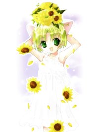 BUY NEW di gi charat - 168577 Premium Anime Print Poster