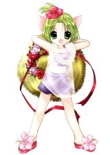 BUY NEW di gi charat - 168768 Premium Anime Print Poster