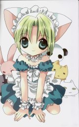 BUY NEW di gi charat - 170264 Premium Anime Print Poster