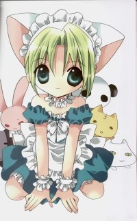 BUY NEW di gi charat - 170264 Premium Anime Print Poster