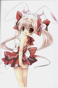 BUY NEW di gi charat - 171130 Premium Anime Print Poster