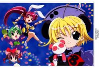 BUY NEW di gi charat - 24874 Premium Anime Print Poster