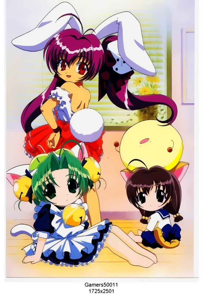 BUY NEW di gi charat - 25287 Premium Anime Print Poster di gi charat - 25287 image